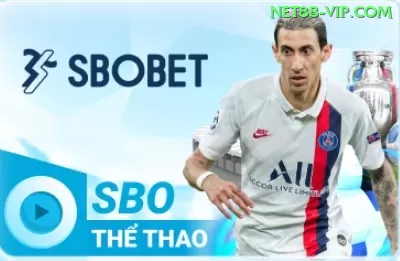 s8bet: Melhores Práticas e Estratégias Comprovadas - ⭐ apk